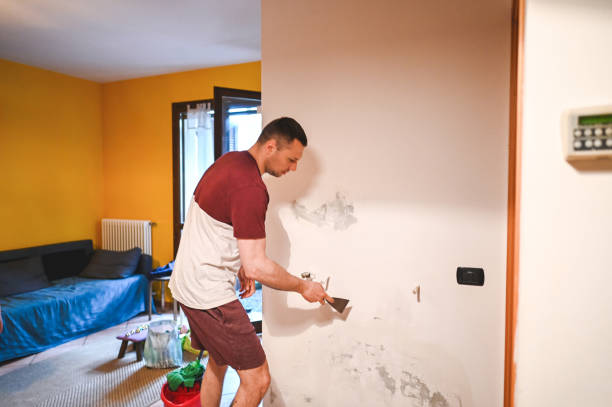 Best Kitchen Mold Remediation in Eaton, IN